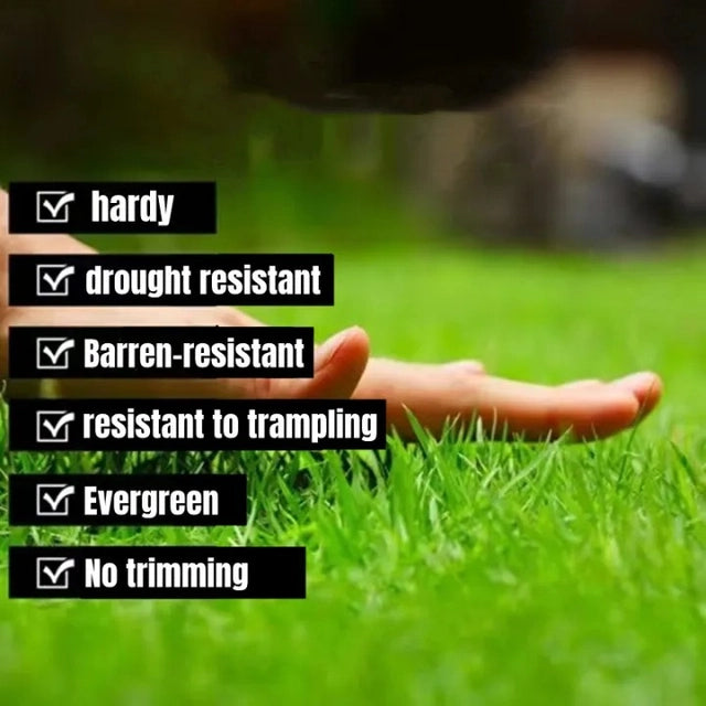π± SPECIAL GRASS SEEDS | Buy 1 Get 1 Free